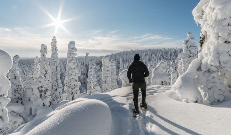 Lapland Adventure & Hunting image