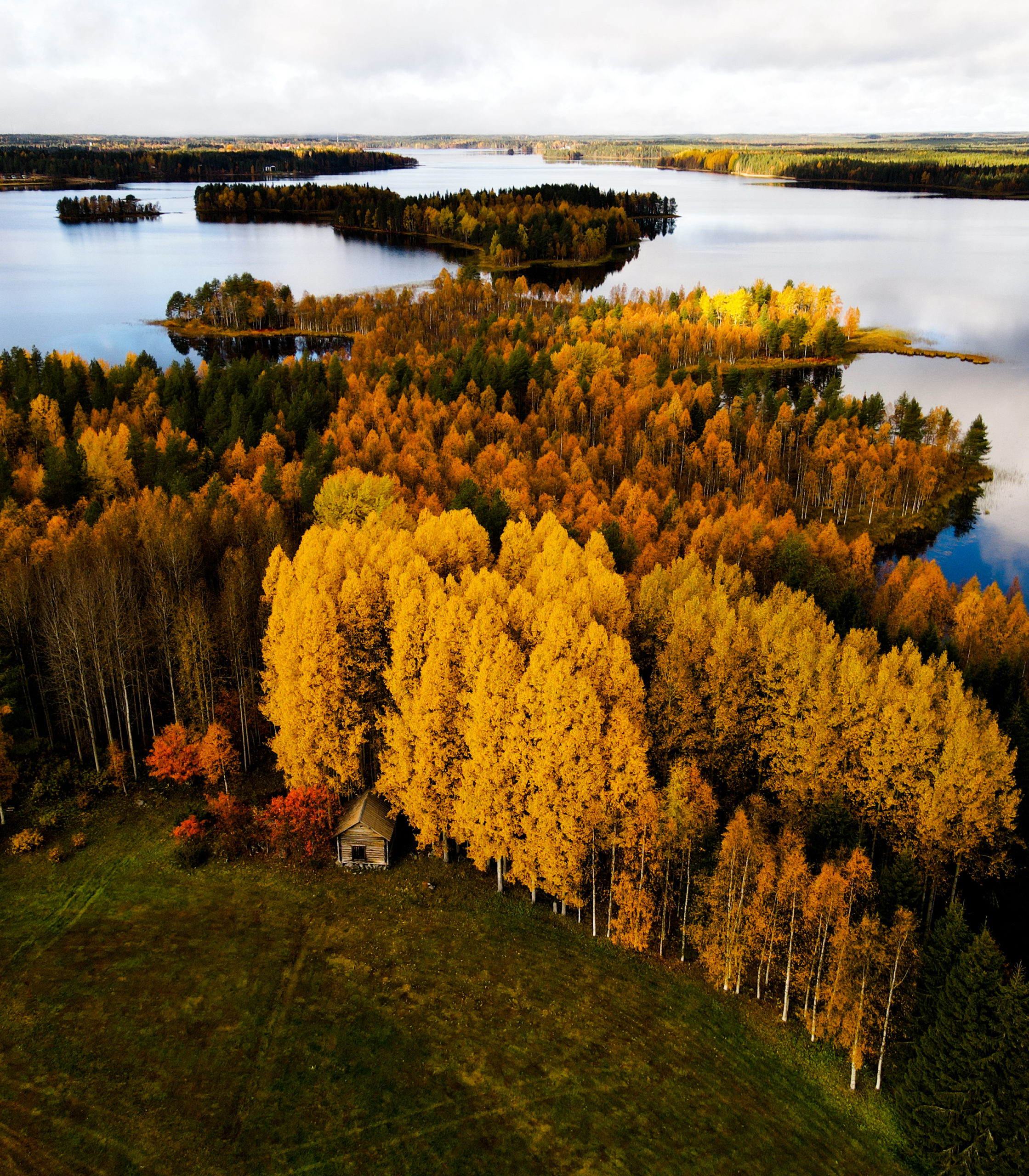 Koe V rikyll inen Lapin Ruska Ranua Finland Koe V rikyll inen Lapin Ruska Ranua Finland