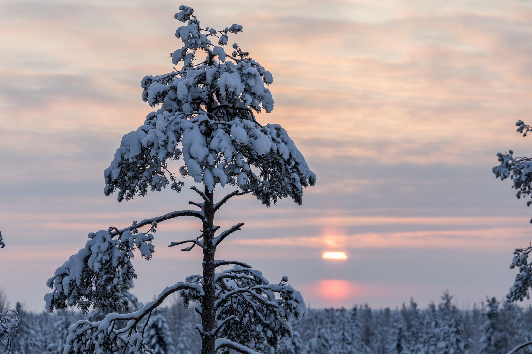 Winter sunset in Ranua.